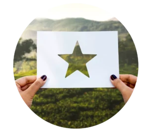 Why Choose Melonleaf’s Salesforce B2C Commerce Cloud Implementation Services?