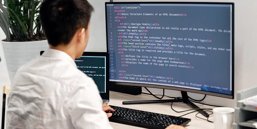 Why Hire MuleSoft Developer